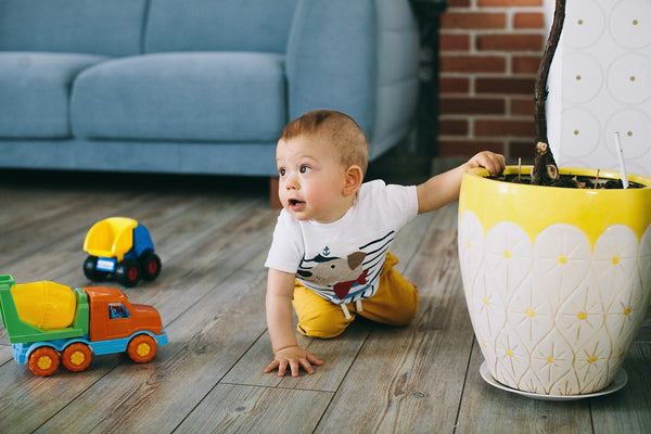 When Do Babies Start Crawling?