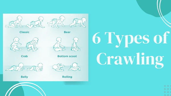 6 Types of Baby Crawls